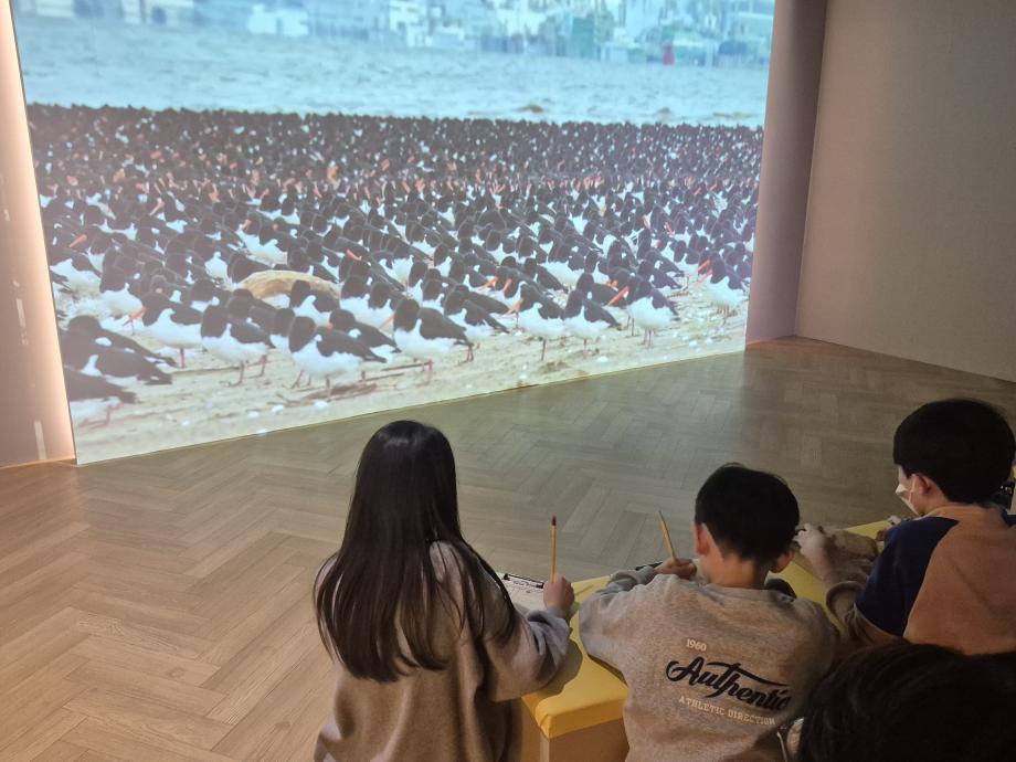 20251227 [출동! 갯벌 탐정단] 이미지