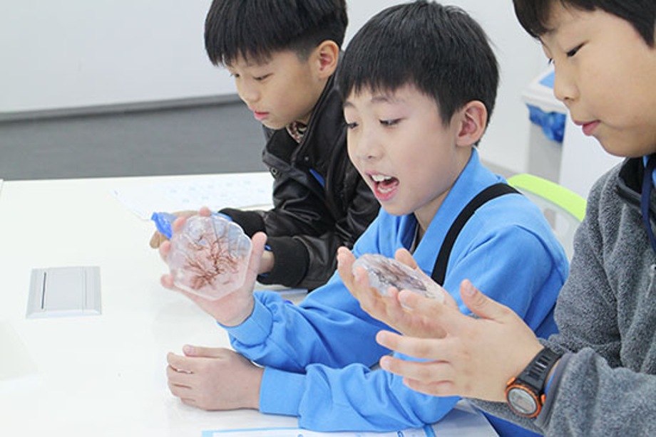10월 29일 대전과학교육연구원 이미지