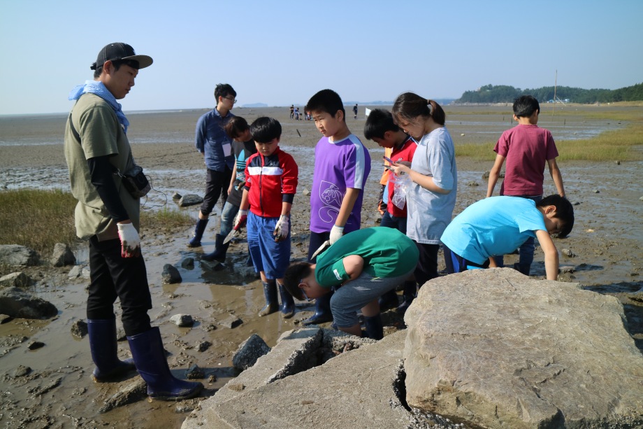9월 22일~23일(2일) 화수초등학교- 경기도환경보존협회 이미지