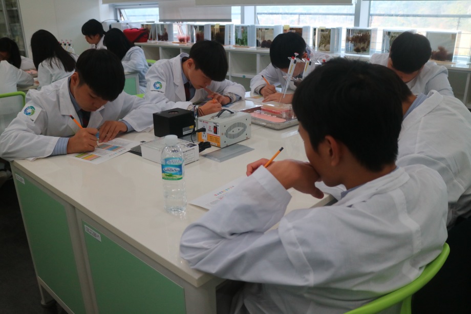 11월 3일 웅천중학교, 사곡중학교 이미지