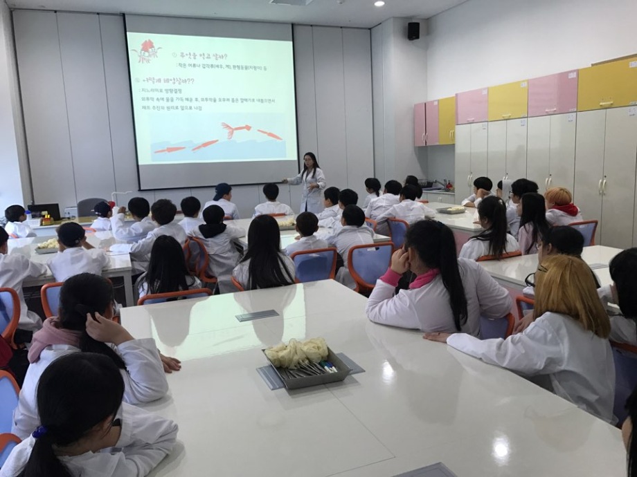 4월 25일 전주서문초등학교(오징어속속들이) 이미지