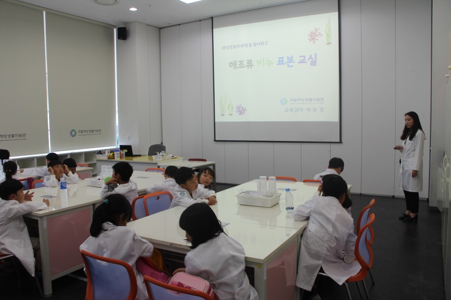 5월 23일 서천기산초등학교(해조류비누표본만들기+오징어속속들이) 이미지