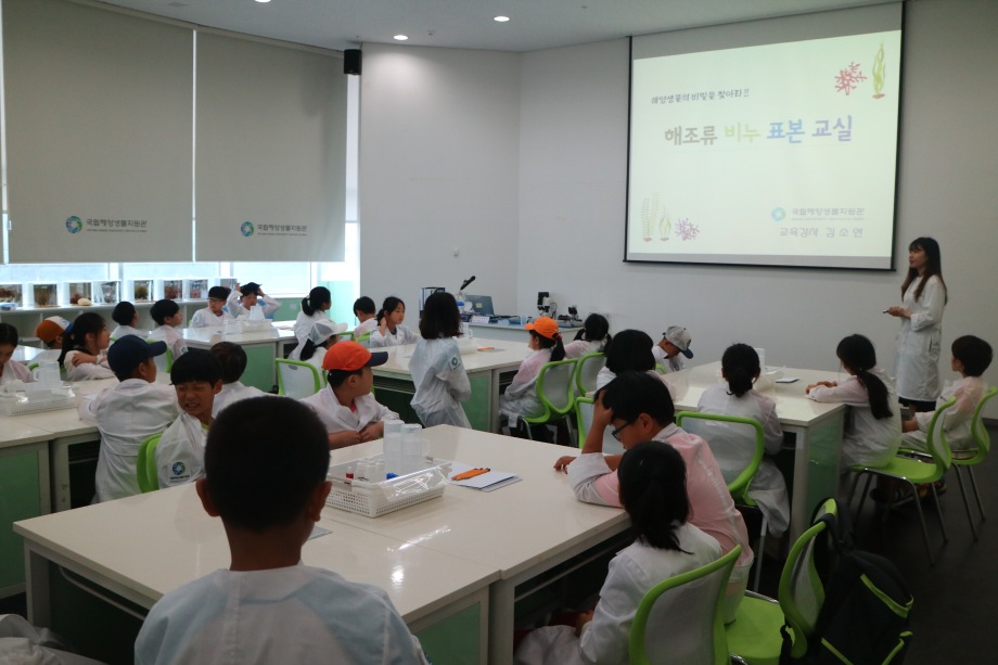 6월1일 광주지산초등학교(해조류비누표본+천연물) 이미지
