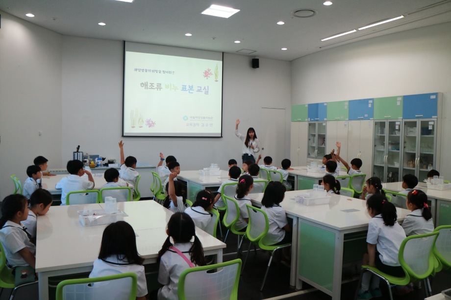 6월2일 군산부설초등학교(해조류비누표본) 이미지