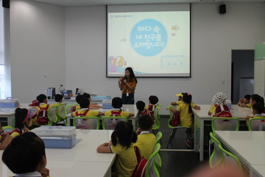 7월 12일 군산반야유치원(바다속 내친구를 소개합니다) 이미지