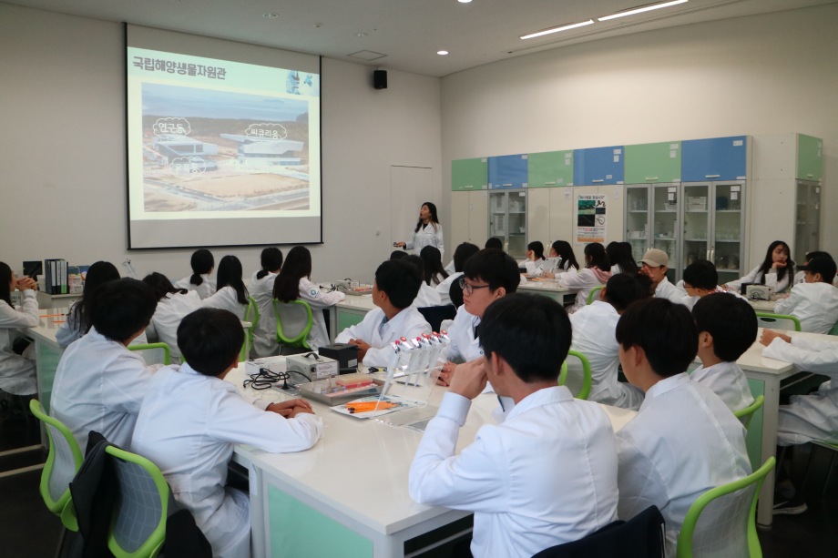 10월 12일 소담중학교(마린아티스트+바다뱀 현상수배) 이미지