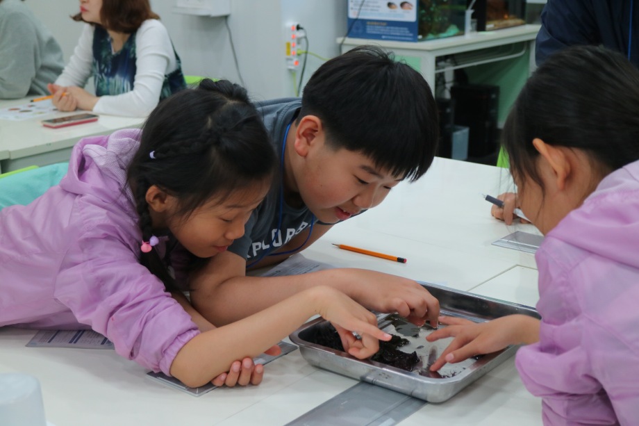 5월 12일 과학기술인공제회 (해조류비누표본교실) 이미지
