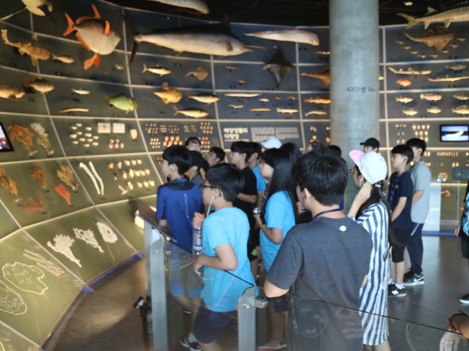 7월 12일 서산대진초등학교(마린아티스트) 이미지