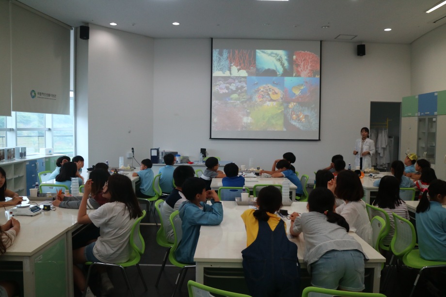 6월 19일 마산초등학교(해조류분자요리교실) 이미지