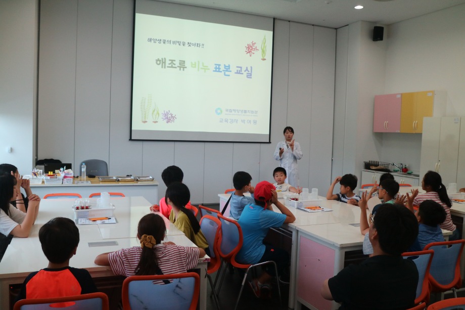 6월 26일 신촌초등학교(해조류비누표본교실) 이미지
