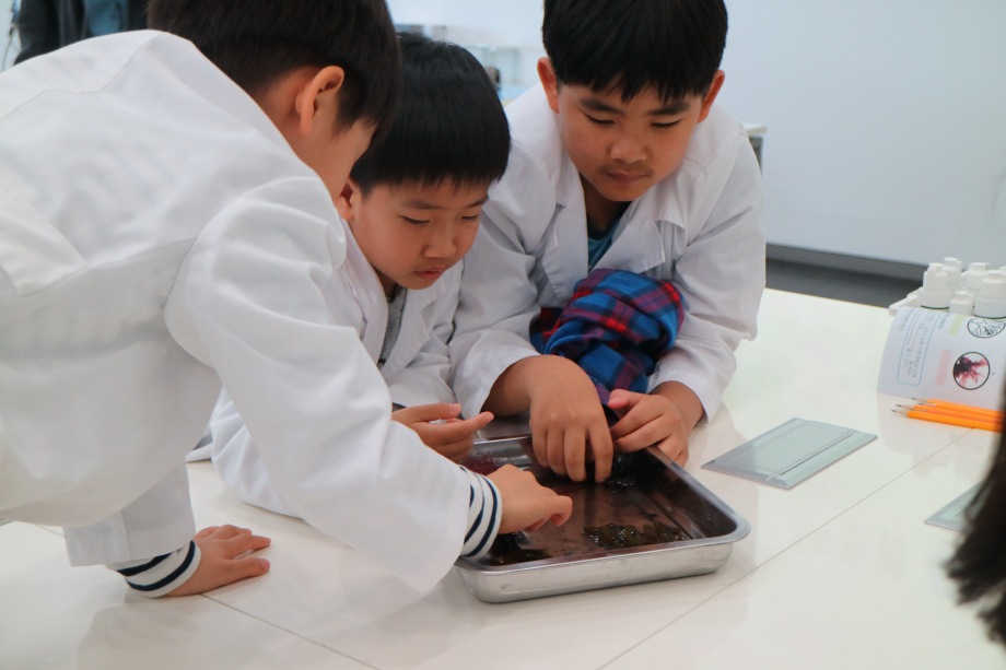 4월 17일 동산초등학교 (해조류 비누표본 교실) 이미지