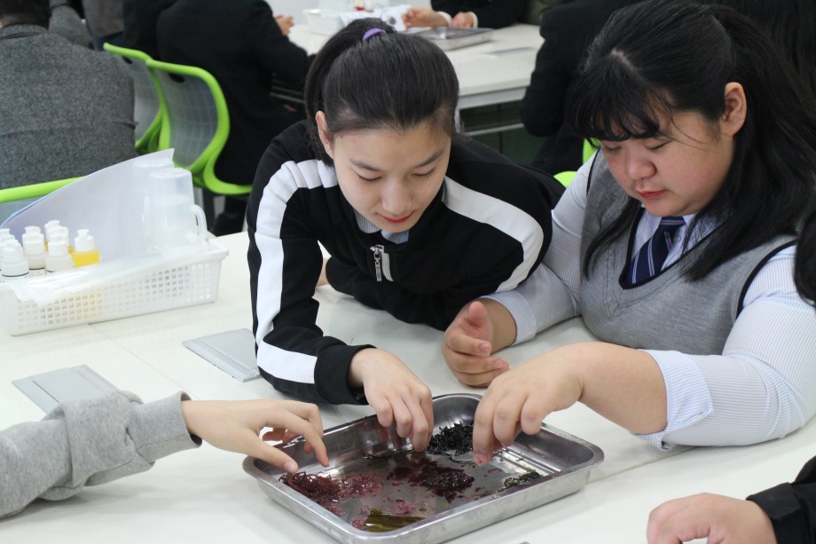 4월 13일 당진중학교, 원당중학교 (해조류 비누표본) 이미지