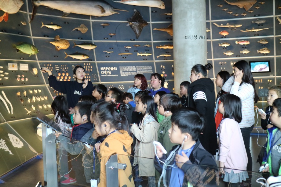 4월 11일 송림초등학교 (바닷속 내 친구를 소개합니다) 이미지