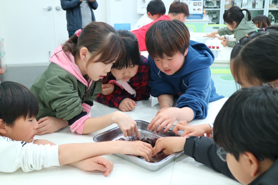 4월 24일 방포초등학교 (해조류 비누표본/해양천연물) 이미지