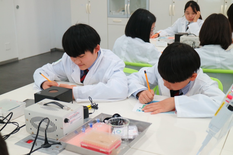 4월 25일 비인중학교 (바다뱀 현상수배) 이미지