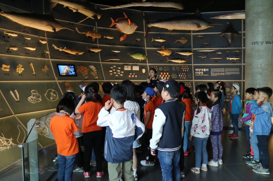 4월 26일 익산마한초등학교 (모여라 해양생물 탐험대/마린아티스트) 이미지