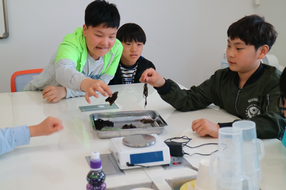 4월 27일 전주 서천초등학교 (해조류 분자요리 교실) 이미지