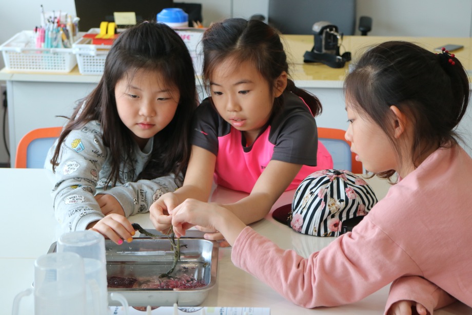 4월 10일 옥산초등학교 (해조류 비누표본) 이미지