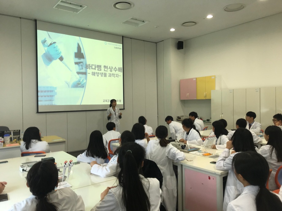 9월 20일 장항중학교(바다뱀현상수배) 이미지