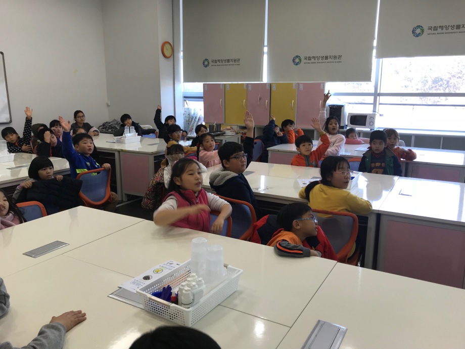 11월 20일 청소초등학교 - 해조류 비누표본 이미지