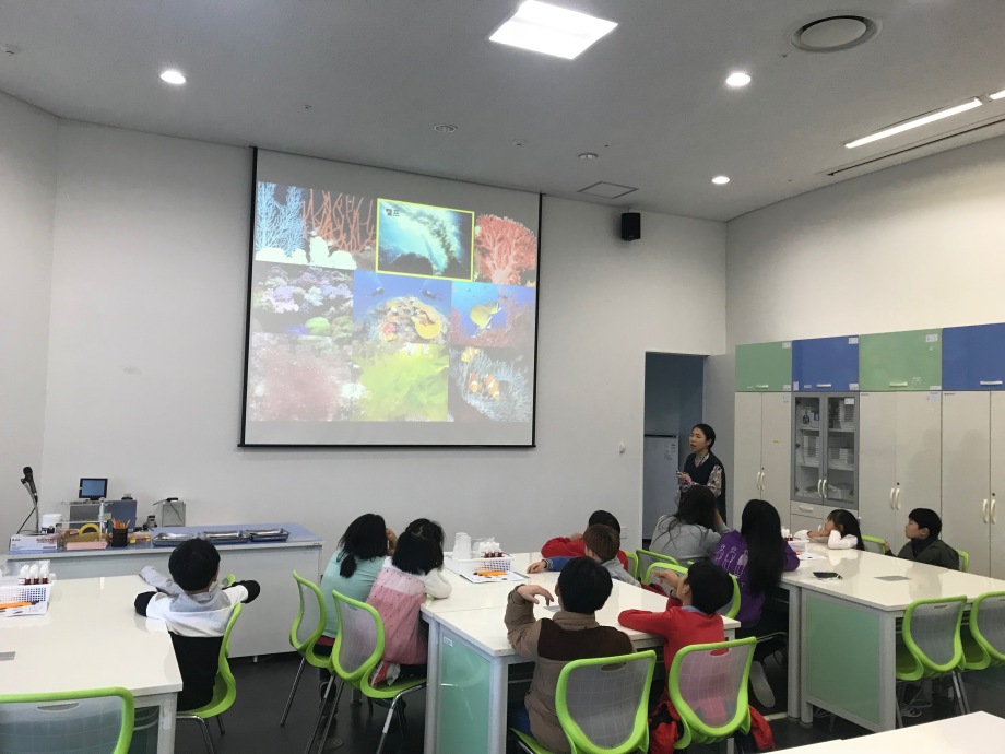 11월 28일 문산초등학교 - 해조류 비누표본 이미지