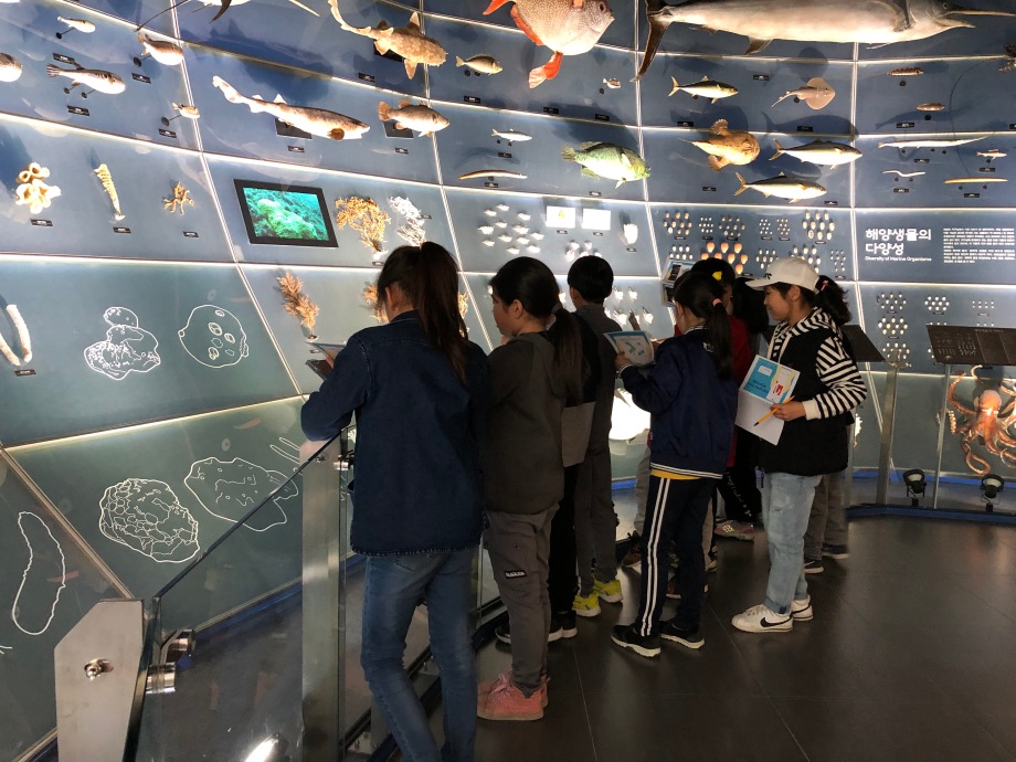 4월 9일(화) 전주서신초등학교(해양보호생물) 이미지