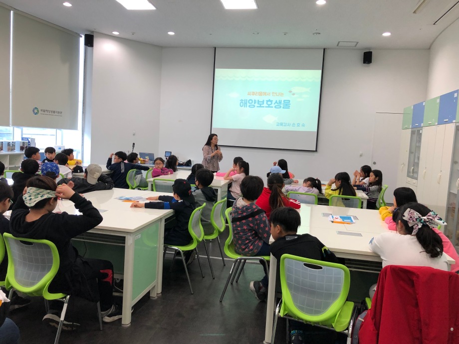 4월 23일(화) 부성초등학교(해양보호생물) 이미지