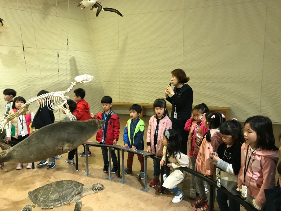 4월 26일(금) 가온초등학교(바닷 속 내 친구를 소개합니다) 이미지
