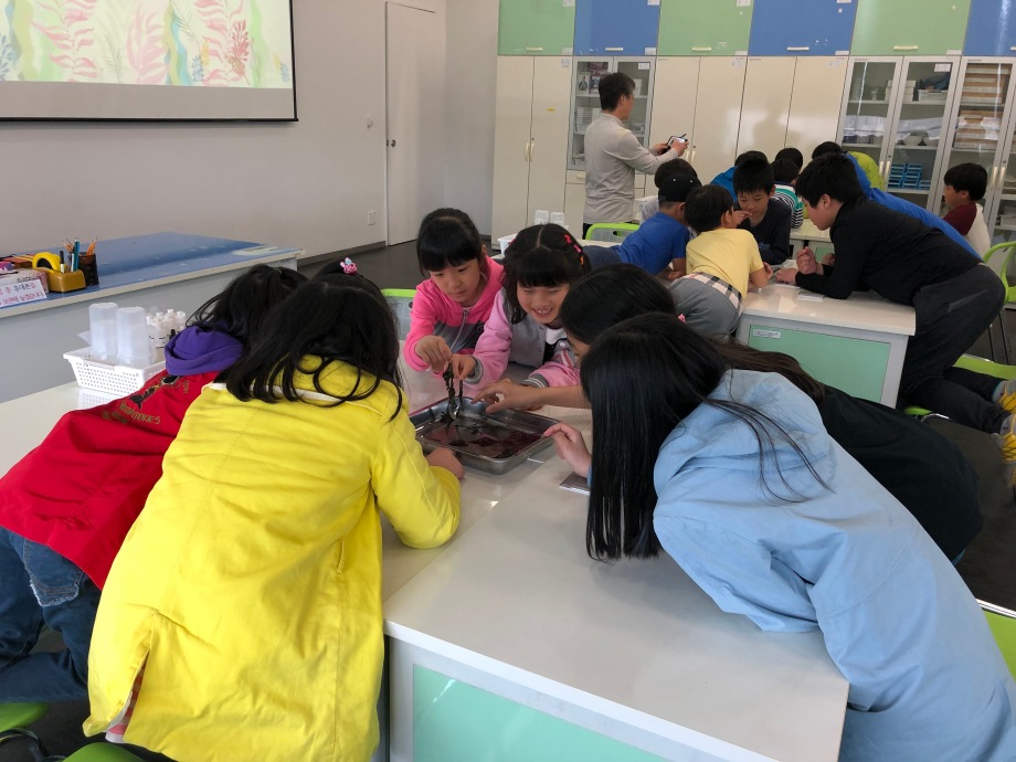 4월 16일(화) 정안초등학교(해조류비누표본교실) 이미지