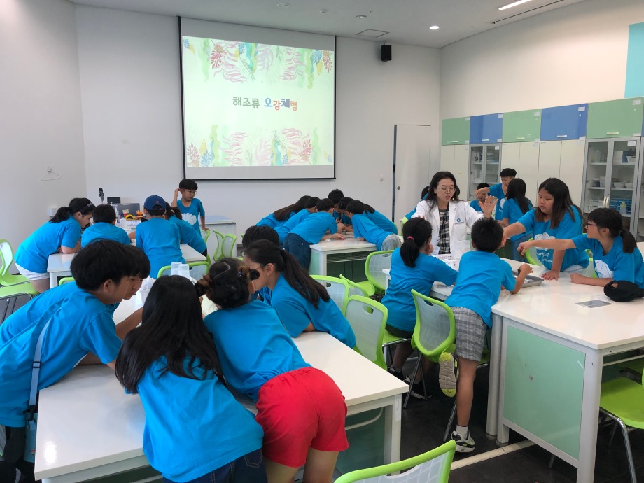 7월 12일(금) 경포초등학교_해조류비누표본교실 이미지