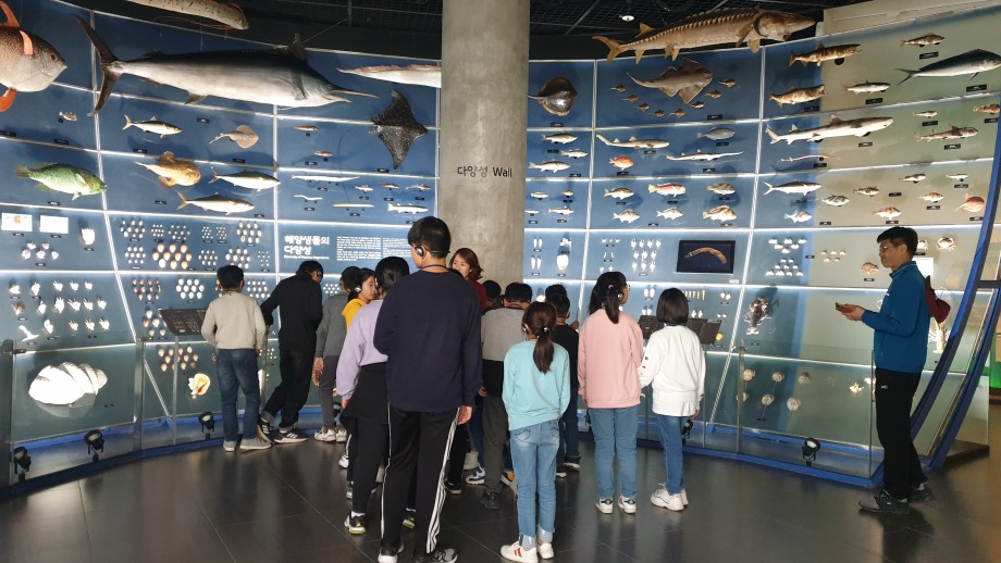 10월 30일(수) 생태지평연구소_마린아티스트 이미지