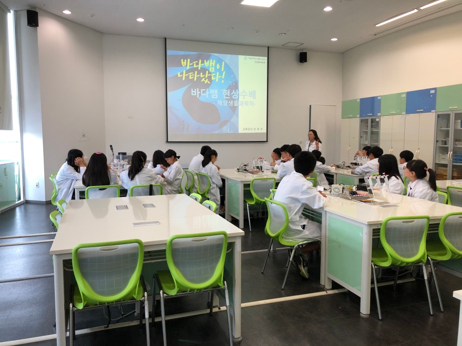 10월 1일 홍산+비인중학교_바다뱀현상수배 이미지