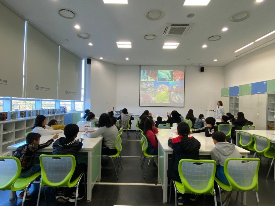 11월 08일 (금) 용안초등학교_해조류 비누표본 교실 이미지
