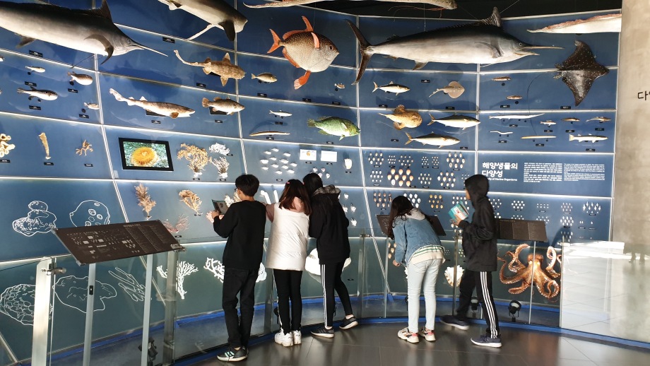 11월 09일 (토) 상원초등학교_해양보호생물 이미지