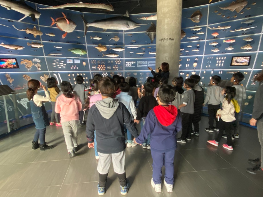 11월 19일 (화) 장항중앙초등학교_마린아티스트 이미지