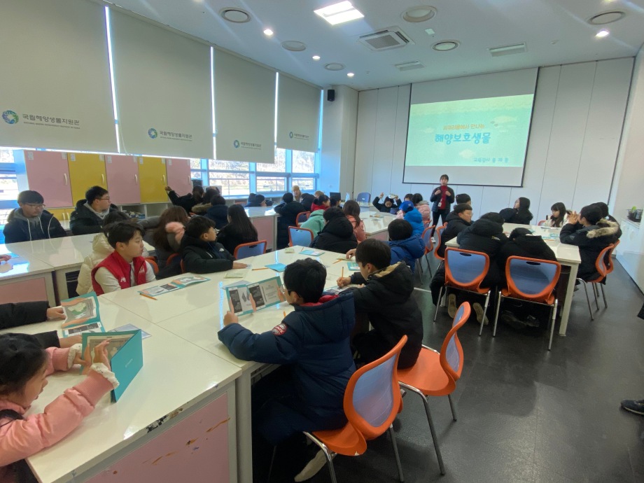 12월 7일 (토) 남서울청소년연맹_해양보호생물 이미지