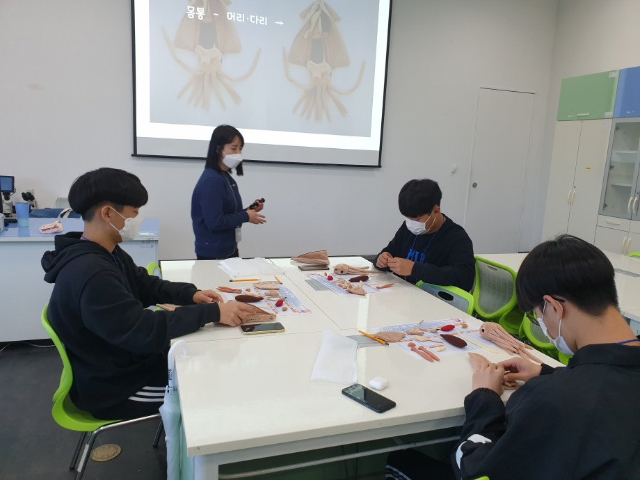 10월 17일(토) [교육기부_바다드림]_말랑패밀리 속속들이 이미지