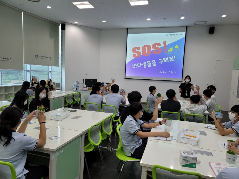 07월 07일(수)SOS! 바다생물을 구해줘_장항중 이미지