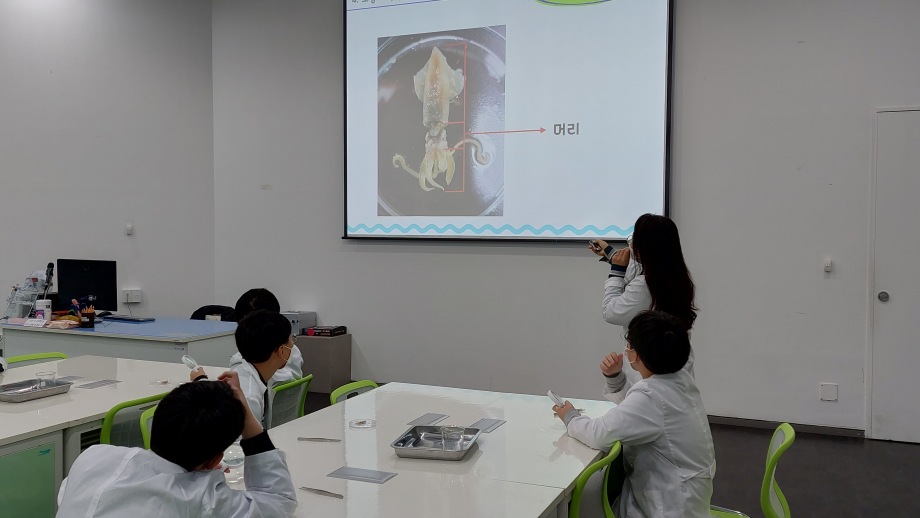11월 09일(화) 말랑패밀리 속속들이_전주기전중 이미지