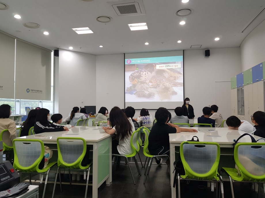 20220519 SOS!바다생물을 구해줘_보령 동대초(오전) 이미지