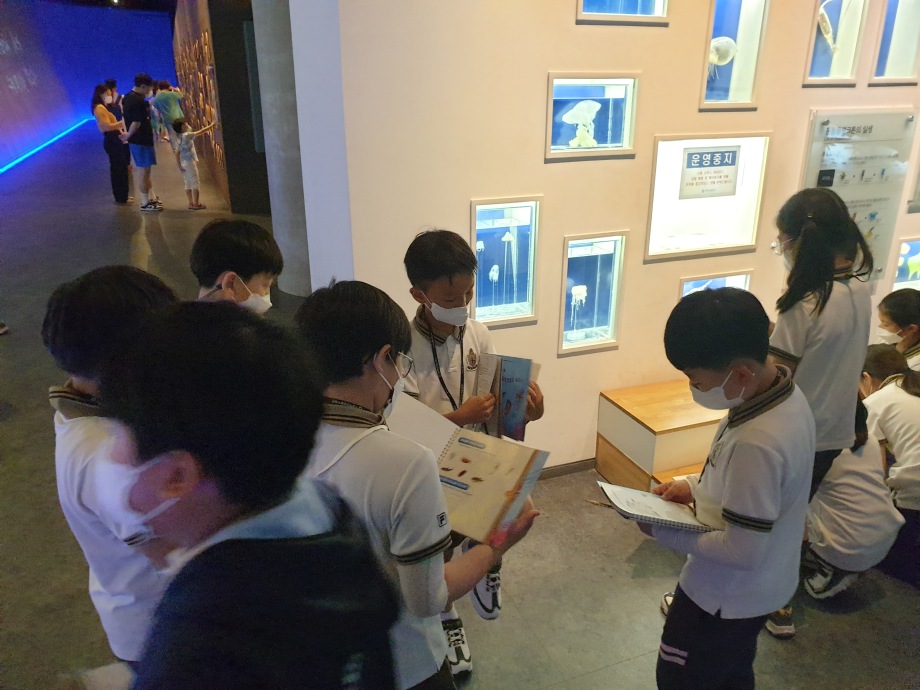 20220528 바닷속보물, 해양천연물을 찾아라!_동아리 이젠 이미지