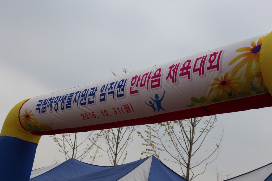 2016 자원관 임직원 한마음 체육대회 이미지