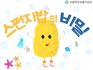 스펀지밥의 비밀 교육 프로그램 이미지