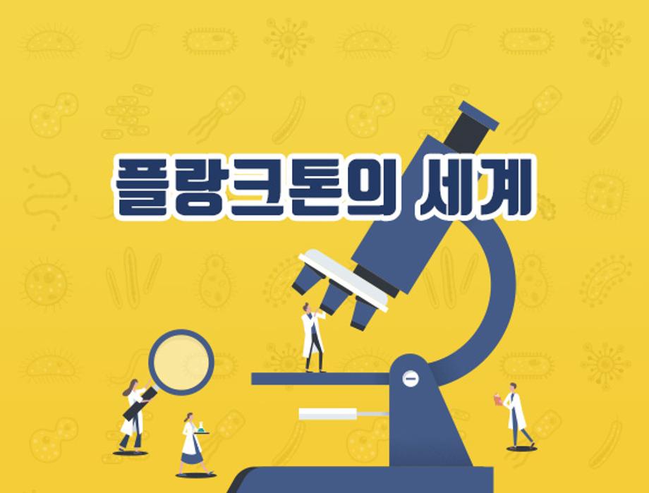 플랑크톤의 세계