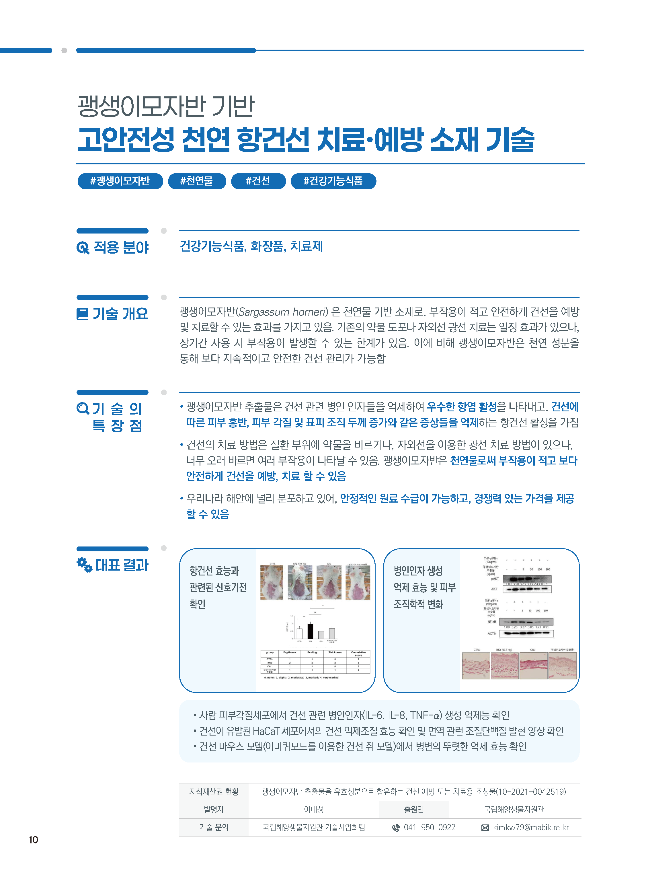 [소액] 괭생이모자반 추출물을 유효성분으로 함유하는 건선 예방 또는 치료용 조성물 대표이미지