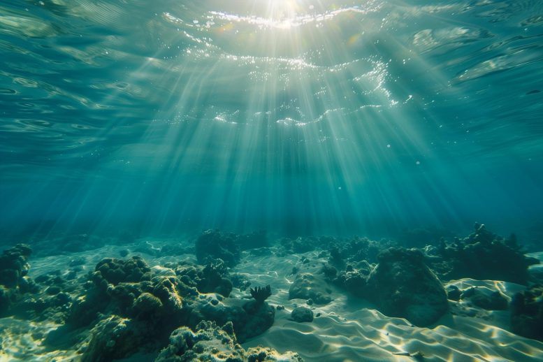 해양의 탄소 포집 능력을 증폭시키는 바이러스 대표 이미지