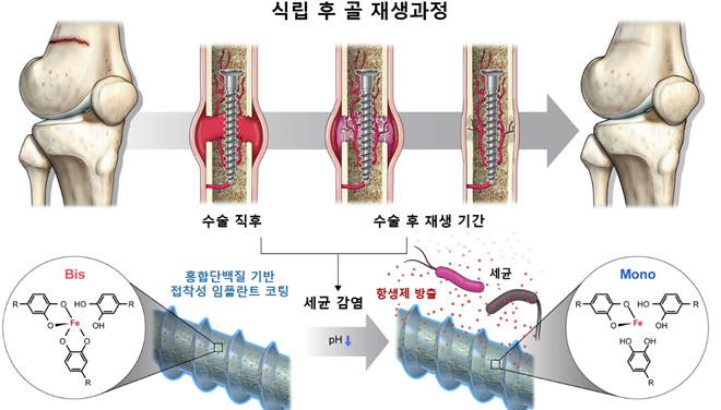 홍합, 세균으로부터 관절을 지켜라! 대표 이미지