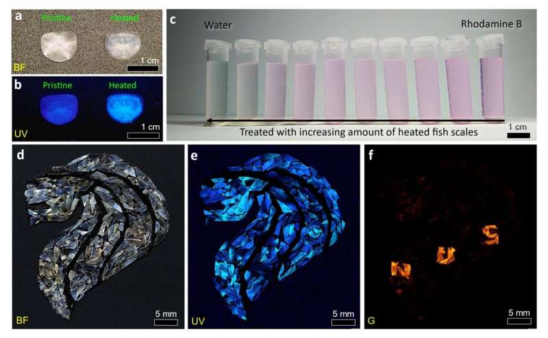 어계 폐기물: 보안 및 오염 관리를 위한 지속 가능한 솔루션 대표 이미지