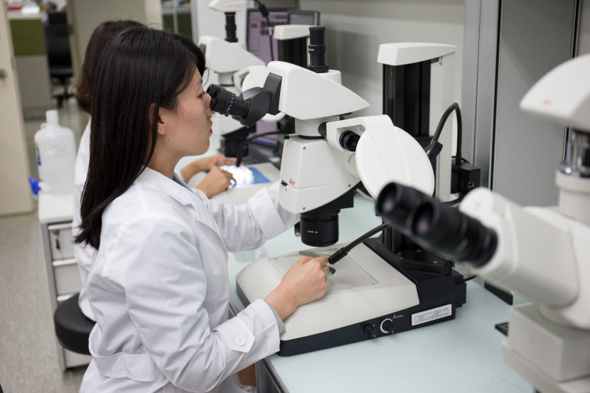 11조 해양자원시장 겨냥…경북 '심해 해양바이오뱅크' 만든다 대표 이미지