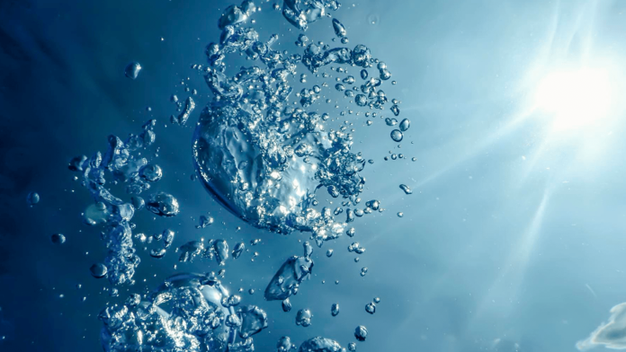 블루 이코노미 혁명을 주도하는 10개 혁신 스타트업: 바다의 잠재력을 최대한 발휘할 수 있도록 대표 이미지